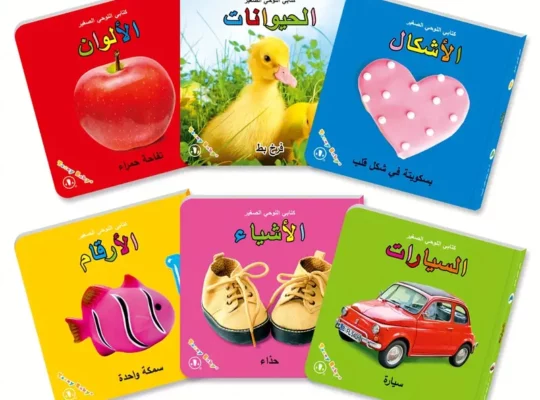 مجموعة من 6 كتب بطاقات تعليمية للأطفال