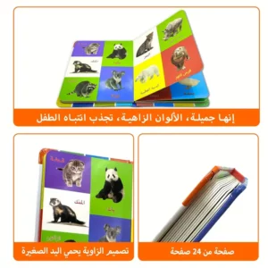 1 كتاب من 11 صفحة – كتاب تعليمي شامل للأطفال
