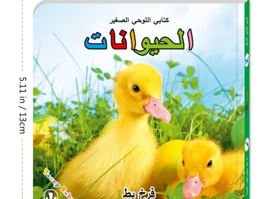 مجموعة من 6 كتب بطاقات تعليمية للأطفال