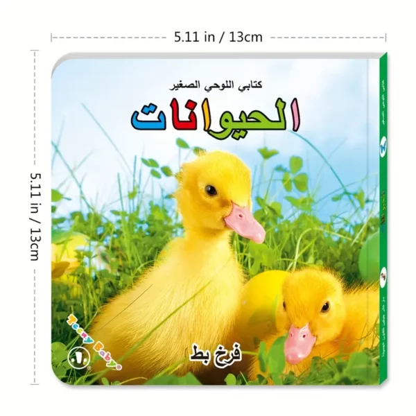 ⁦مجموعة من 6 كتب بطاقات تعليمية للأطفال⁩ - الصورة ⁦3⁩