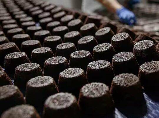 خط إنتاج كعكة البراوني الأوتوماتيكي الكامل لآلة صنع كعكة المخبوزات