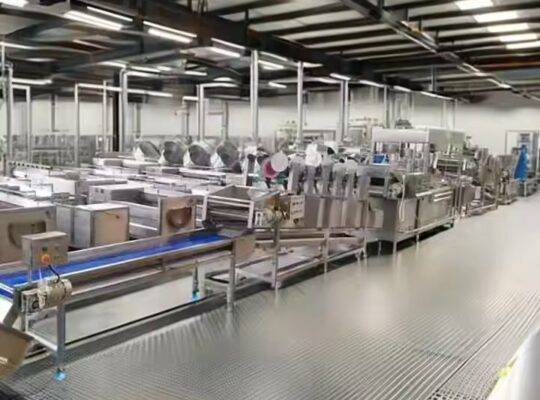 خط إنتاج شرائح الموز الصناعية الأوتوماتيكية بالكامل من شركة KLS New Snack Fryer لتجهيز الأطعمة