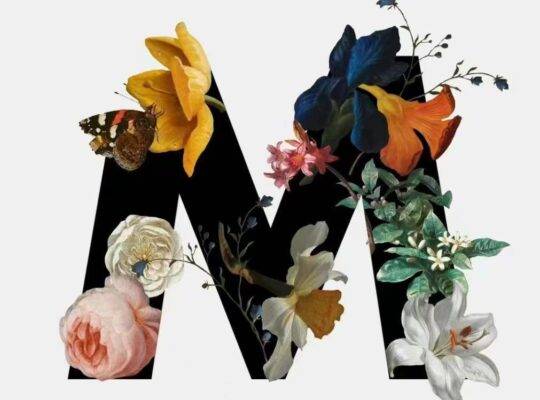عطر نسائي أصلي عطر طبيعي يدوم طويلاً