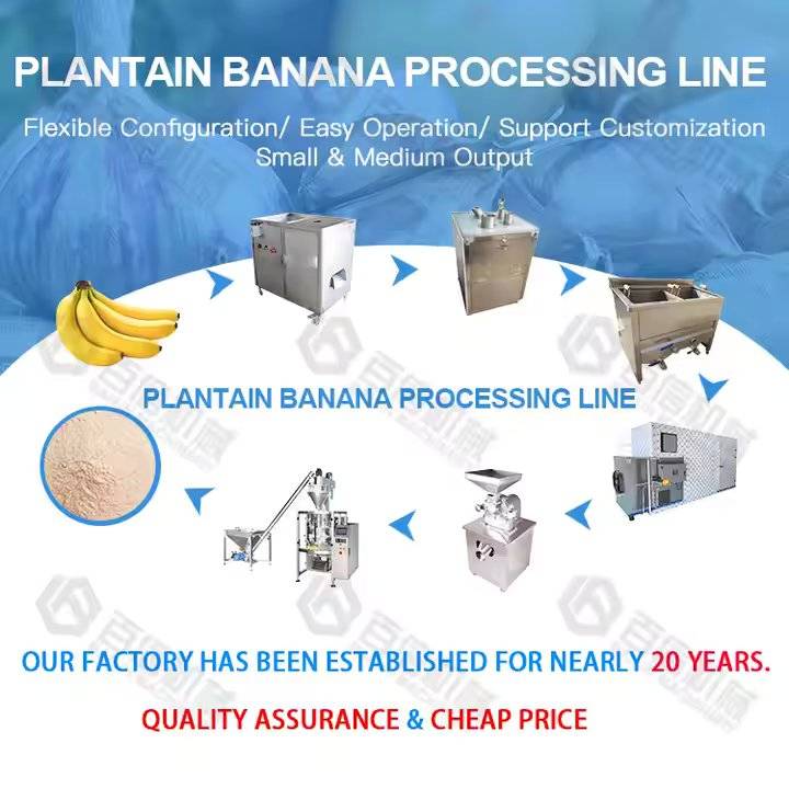 آلة طحن مسحوق الموز الصناعية الأوتوماتيكية بالكامل لتجهيز خط إنتاج دقيق الموز - الصورة 2
