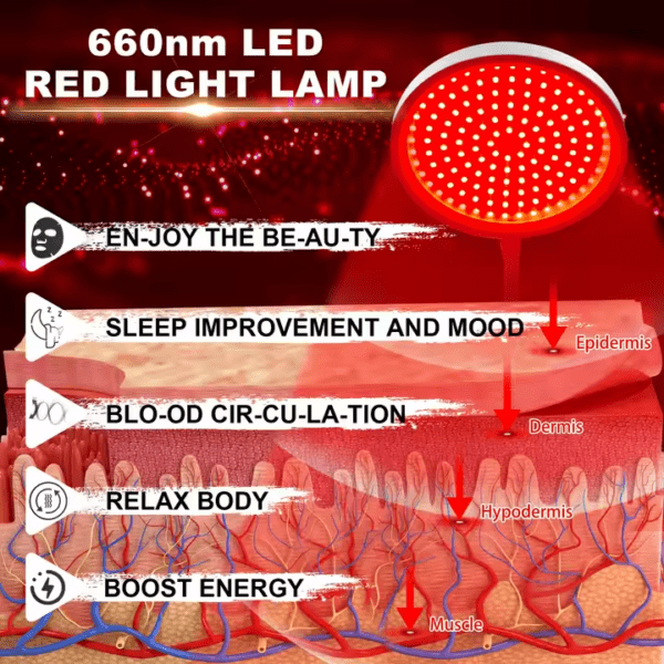⁦140LED 660nm 15/30/45 دقيقة الموقت العلاج بالضوء الأحمر⁩ - الصورة ⁦5⁩