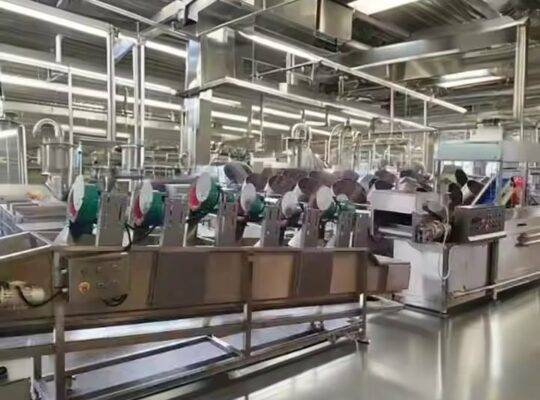 خط إنتاج شرائح الموز الصناعية الأوتوماتيكية بالكامل من شركة KLS New Snack Fryer لتجهيز الأطعمة