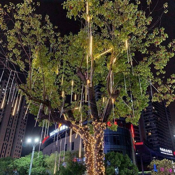 ⁦مصابيح و فوانيس⁩ - الصورة ⁦2⁩