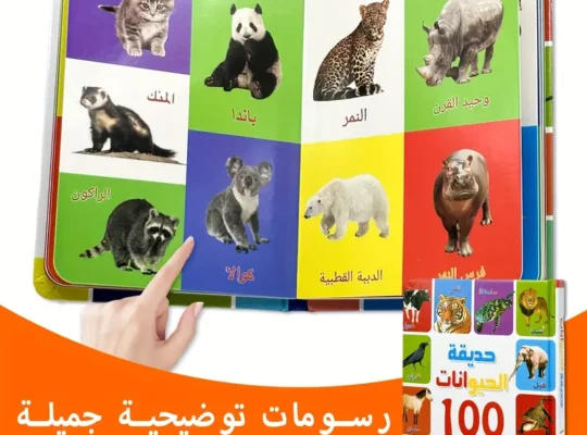 1 كتاب من 11 صفحة – كتاب تعليمي شامل للأطفال