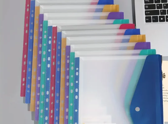 12 قطعة من حقائب الملفات المقاومة للماء من PVC
