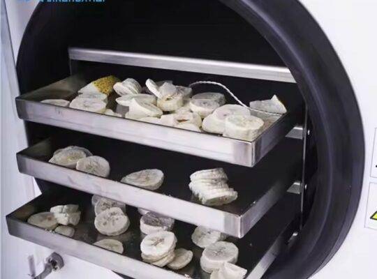 مجفف تجميد الطعام المنزلي بالتجفيف بالتجميد ومضخة التفريغ المنزلية ومجفف التجميد