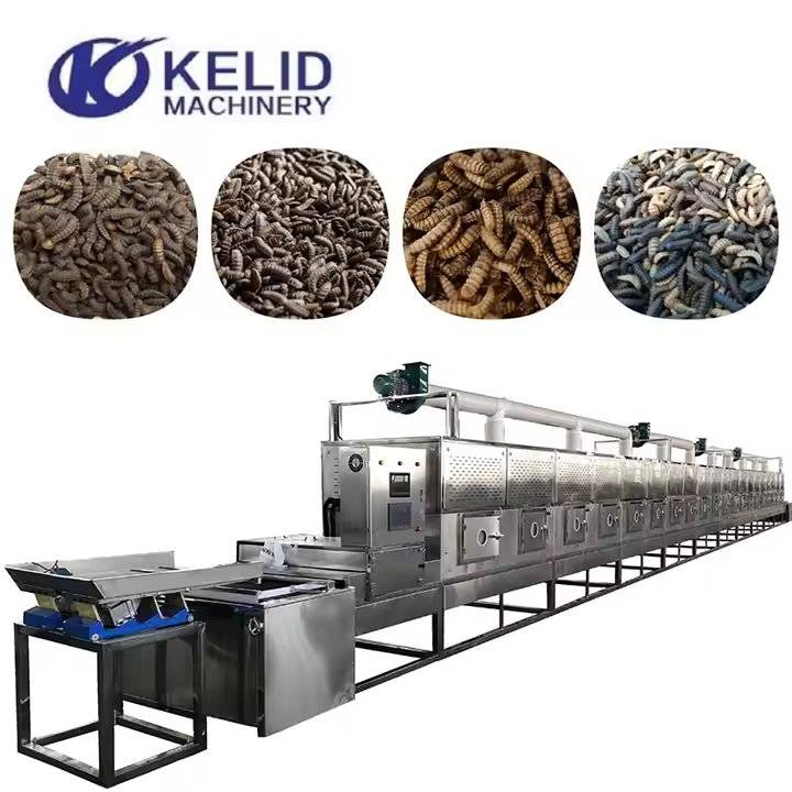 آلة تجفيف صناعية بمايكروويف لتربية يرقات الذبابة السوداء من نوعTenebrio