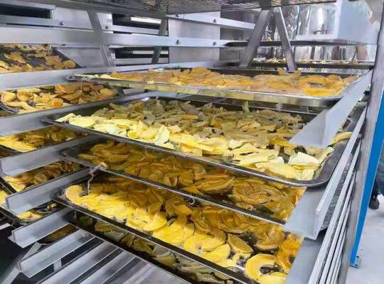 مجفف تجميد TCA XINDAXIN الساخن مبيعات مخصصة مجفف هواء مبرد صناعي لثلاجات الضاغط الهوائي الجافة
