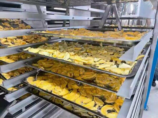 ⁦مجفف تجميد TCA XINDAXIN الساخن مبيعات مخصصة مجفف هواء مبرد صناعي لثلاجات الضاغط الهوائي الجافة⁩ - الصورة ⁦3⁩